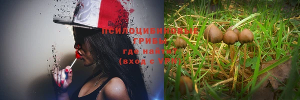 прущий лед Сясьстрой