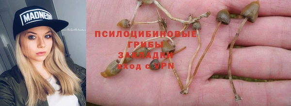 молекула духа Тайга
