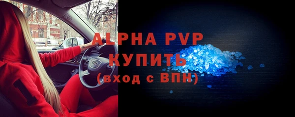 молекула духа Тайга