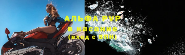 молекула духа Тайга