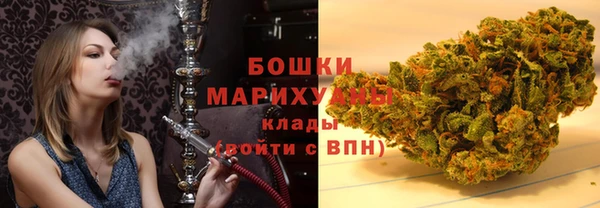 молекула духа Тайга