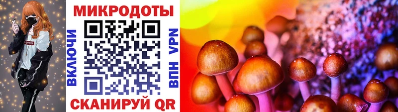 хочу   Углич  Галлюциногенные грибы MAGIC MUSHROOMS 